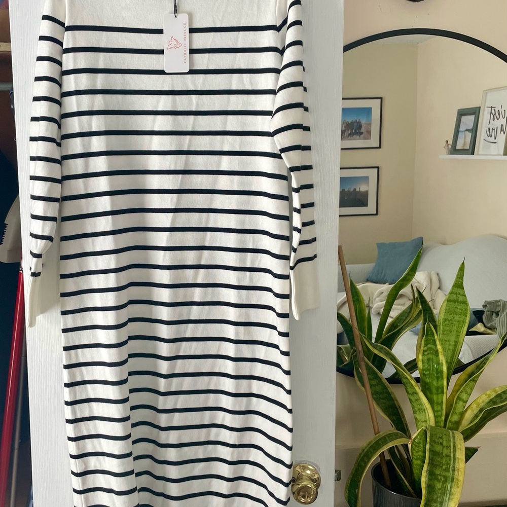 Striped Black and White Dress